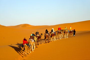 9-Daagse Adventure Tour Marokko - The best of the South